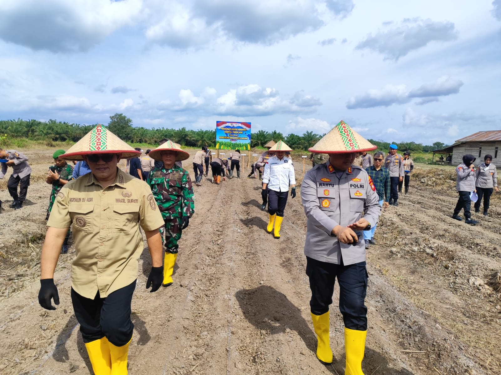 Wabup Heroaldi Berharap Momentum Tanam Jagung Bisa Dimanfaatkan untuk Hasil Panen Berkualitas