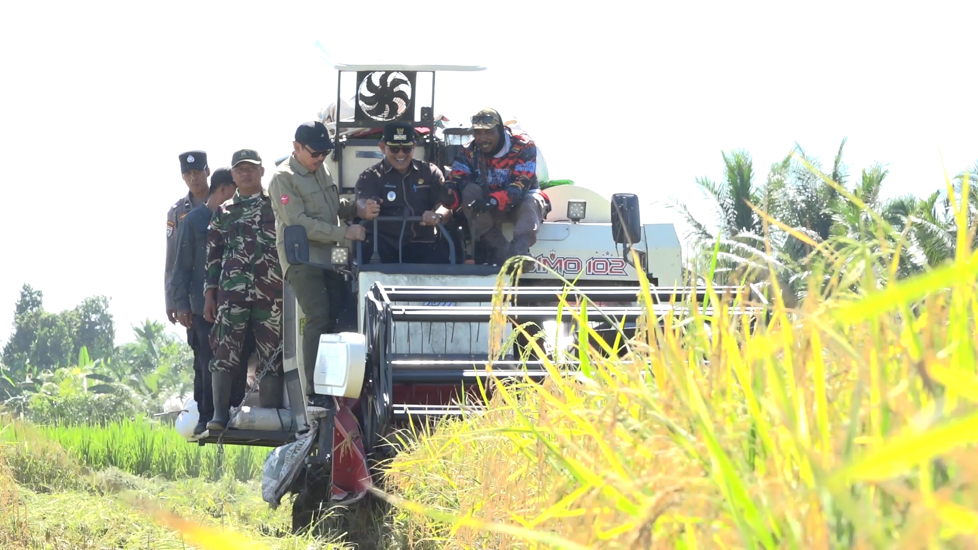 WABUB HEROALDI PANEN PADI DAN OLAH LAHAN TANAMAN PADI MENUJU IP3 DI SINGARAYA
