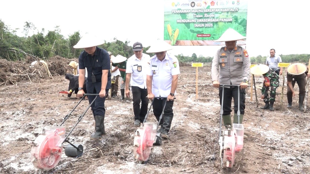 WABUB HEROALDI LAKUKAN PENANAMAN JAGUNG SERENTAK KUARTAL IV DI LAHAN SMK N 1 TELUK KERAMAT