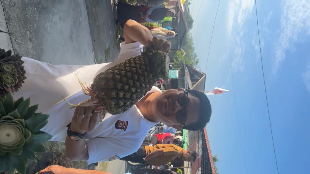 BUPATI SAMBAS SATONO LAUNCHING KAMPUNG NANAS MADU DESA SEMATA